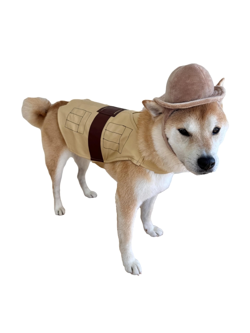 CheetahBoo Dog Safari Costume Vest with Hat